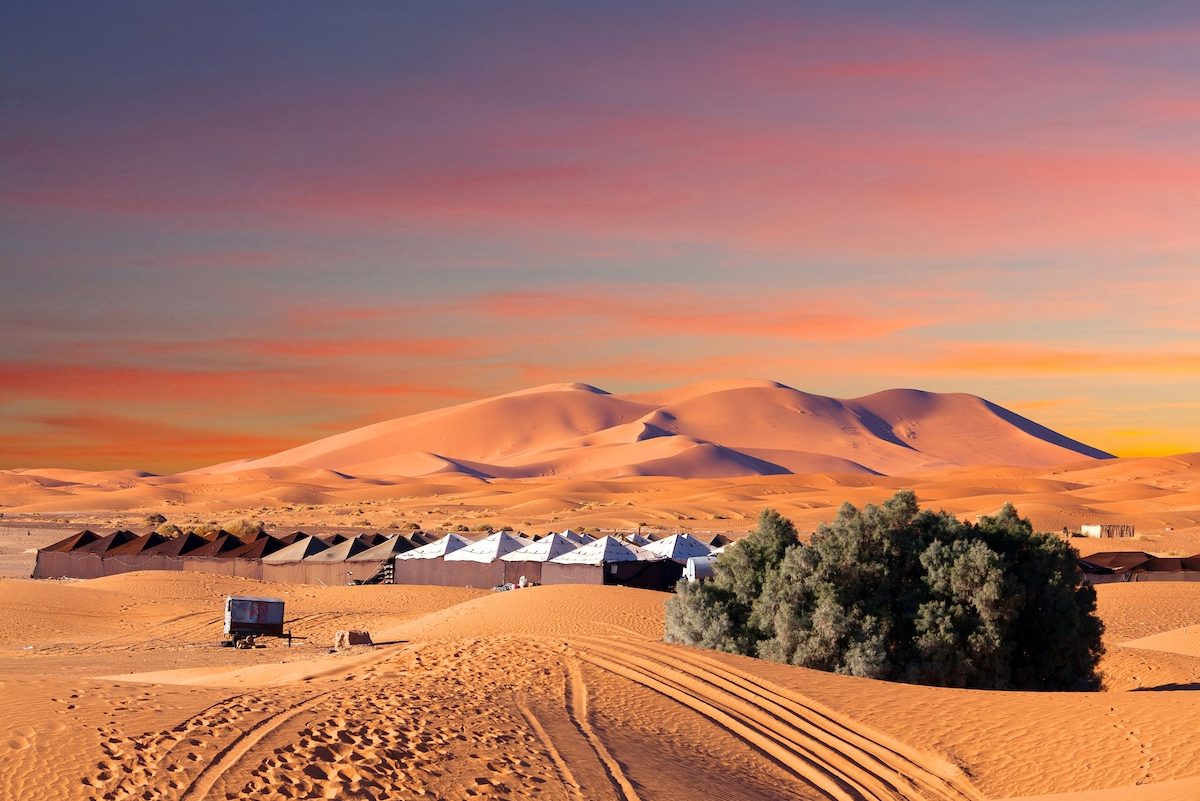 Merzouga travel view 5