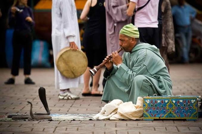 Marrakech travel view 1