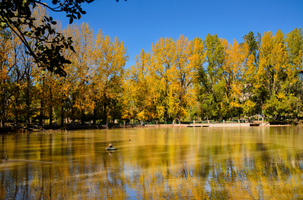 Ifrane travel view 6